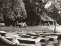 buitencentr-de-houtmaat